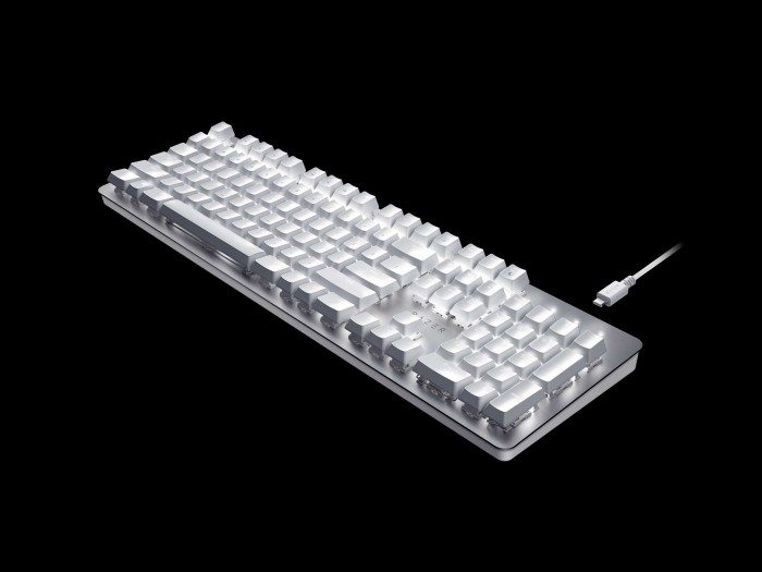 Die Pro Type hat taktile Schalter ohne Klick und ist klassisch aufgebaut. (Bild: Razer)